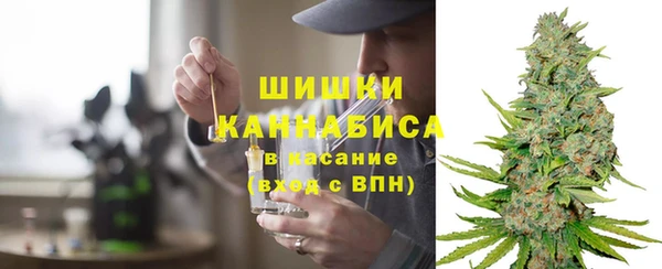 ПСИЛОЦИБИНОВЫЕ ГРИБЫ Белокуриха