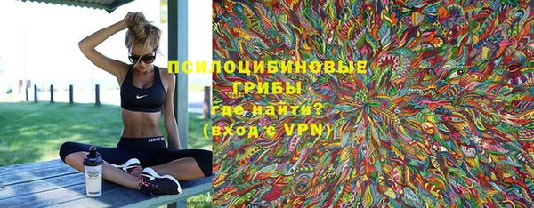 ПСИЛОЦИБИНОВЫЕ ГРИБЫ Белокуриха