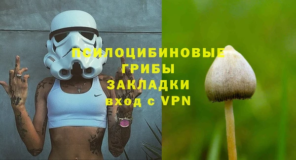 ПСИЛОЦИБИНОВЫЕ ГРИБЫ Белокуриха